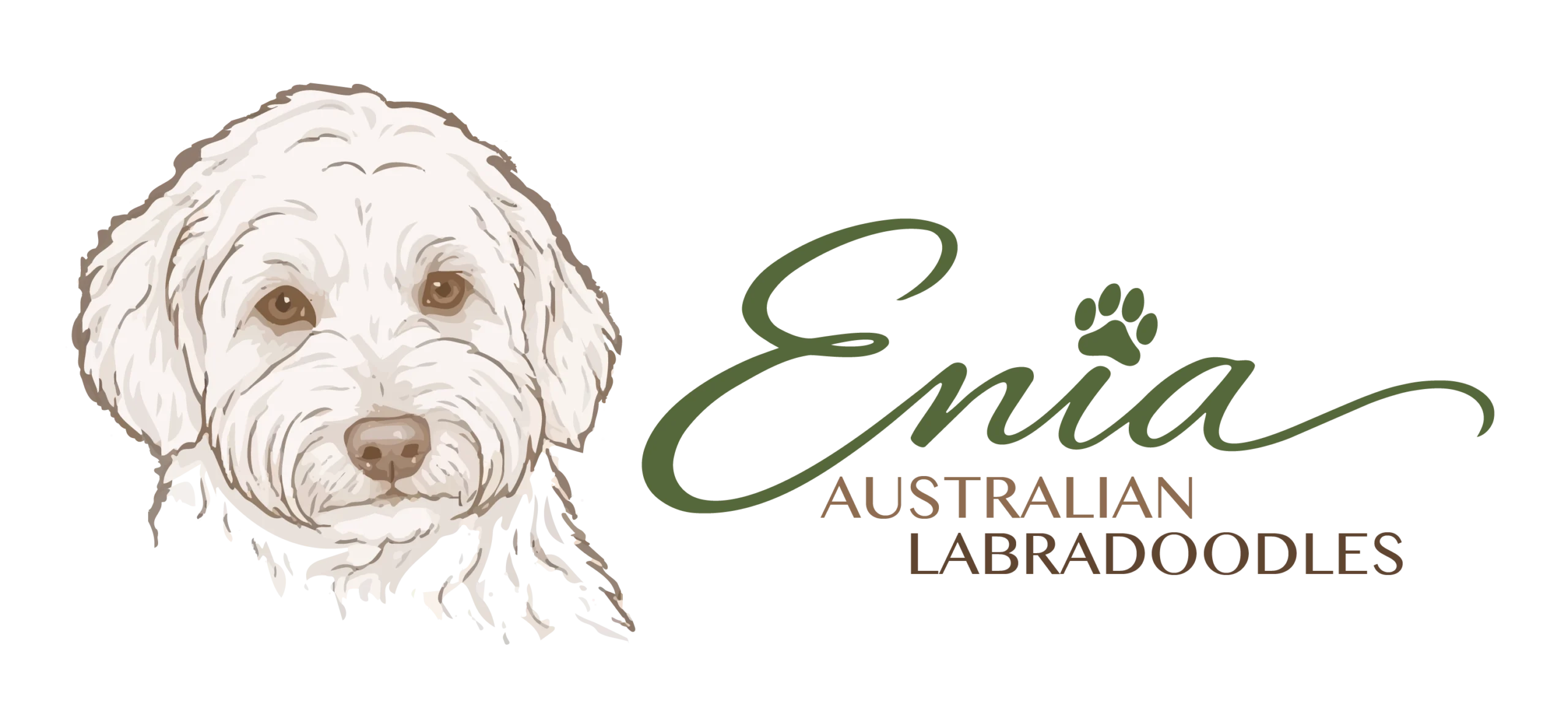 Enia Australian Labradoodles
